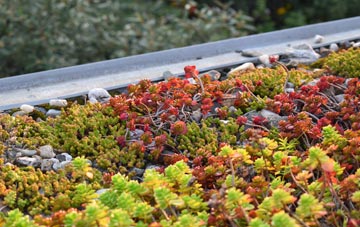 the cost of North Charlton green roof installation