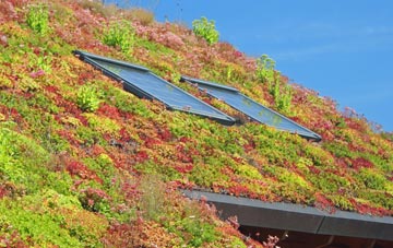 North Charlton living roof systems